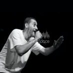 Dam da arabian mc s